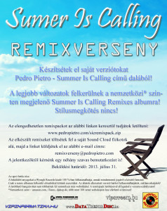 Summer Is Calling - Remixverseny flyer 2013.